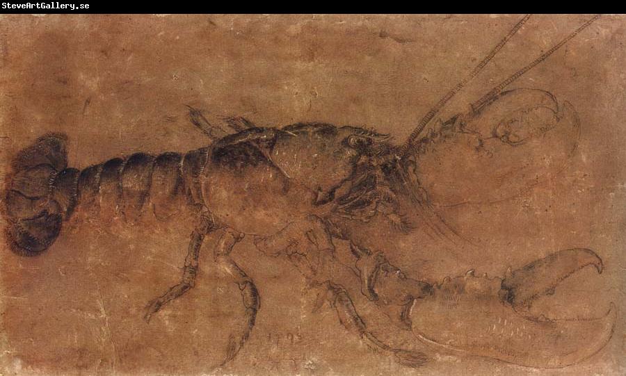 Albrecht Durer A Lobster